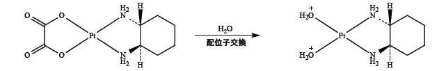 解説画像